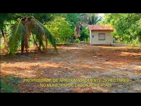 VENDE SE ESTA PROPRIEDADE DE 29 HECTARES PROXIMO A JOSÉ DE FREITAS  EM LAGOA ALEGRE PIAUÍ 