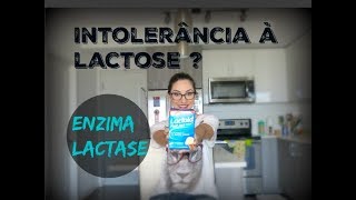 Enzima Lactase para os Intolerância à lactose