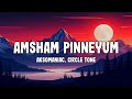 Amsham Pinneyum Lyrics Aksomaniac Circle Tone Ninte Pala Kalla Kadhakalum