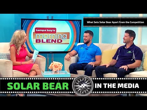 What sets Solar Bear apart?