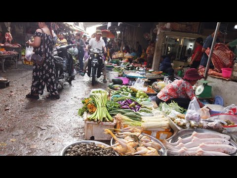 Bebê tubarão, rizoma de lótus, flores de abóbora, ostra fresca, frango, peixe no mercado cambojano