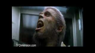 &quot;Lycanthropy&quot; - Six Feet Under