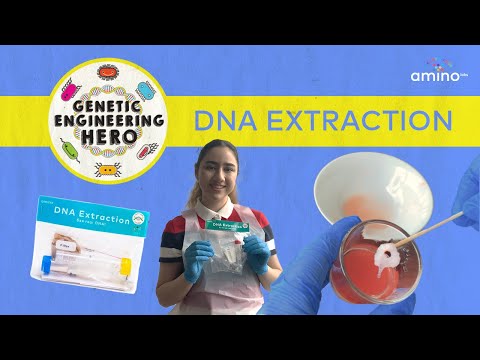 Zero to Genetic Engineering Hero: DNA Extraction