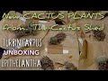 UNBOXING Cactus Plants from THE CACTUS SHED (5 Turbinicarpus & 2 Epithelantha) JUNE 2021