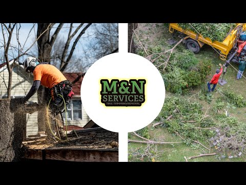 YouTube Video 1