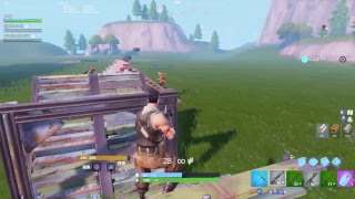 【絶滅危惧種・無言配信者のFORTNITE】勝ちたい人集まれ～参加形するよ！！