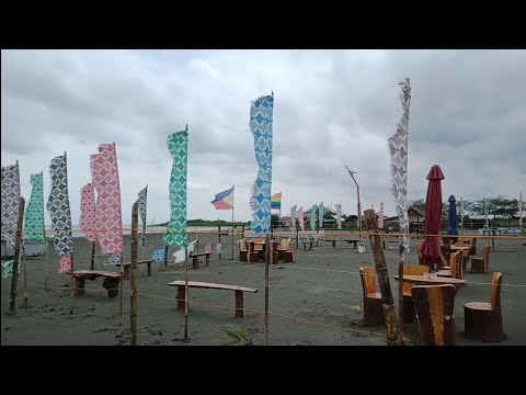 Laois Beach Labrador