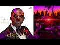Zig Zag Afflatus X Macky 2 Visualizer