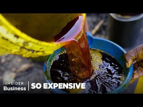 Why Red Palm Oil Is So Expensive | So Expensive | Insider Business
