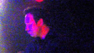 Seabound - For Another Day (live Berlin 14.04.2014)