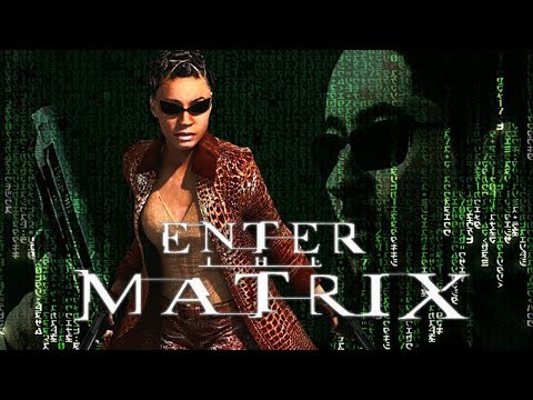 Enter The Matrix Review - Gggmanlives