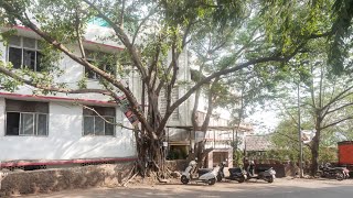 OYO Hotel Blue Executive Near Chhatrapati Shivaji International Airport, Mumbai,