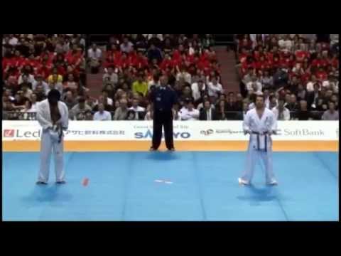 NICOLAE STOIAN KYOKUSHIN KARATE ACADEMY