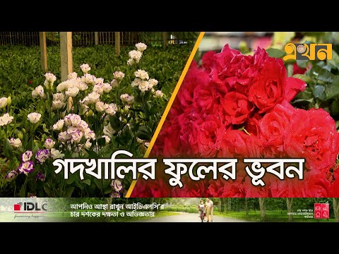 ভালোবাসা দিবসেই কদর বাড়ে ফুলের | Godkhali Flower Market | Rupsha Theke Patharia | EkhonTVDocumentary
