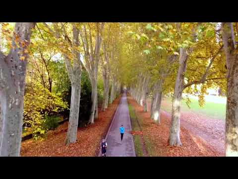 Stuttgart Schlossgarten