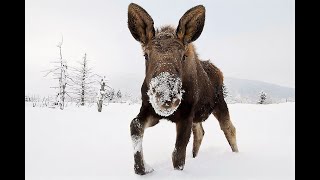 Cisneros Trail to Marion Mine Feb 2021