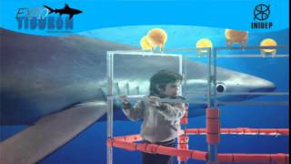 DIA 2 Expo Tiburon88