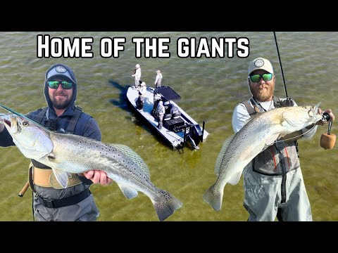 Wade Fishing The Flats For TROPHY Speckled Trout!