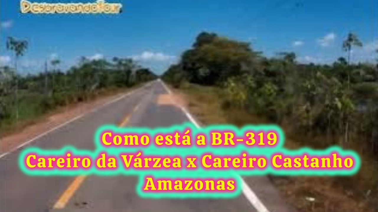 Como tá a estrada de Careiro da Várzea para Careiro Castanho na BR-319 no Amazonas 