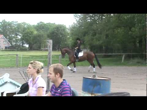 Diamond Hit/Laurie's Crusador 3 y/o mare