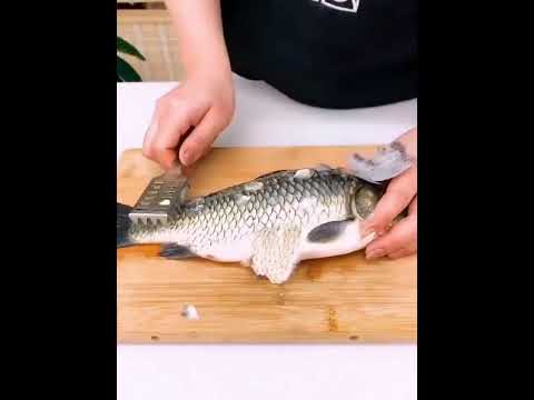 Stainless Steel Fish Scale Remover