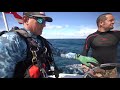 LOBSTER & LION FISH Catch Clean and Cook ( GIANT SHARK ENCOUNTER !!! ) thumbnail 1