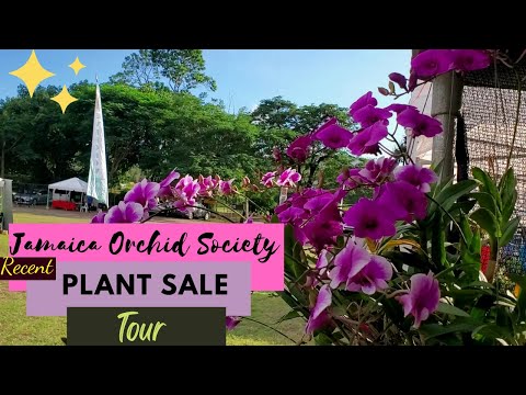 , title : 'Jamaica Orchid Society Plant sale | TOUR |'