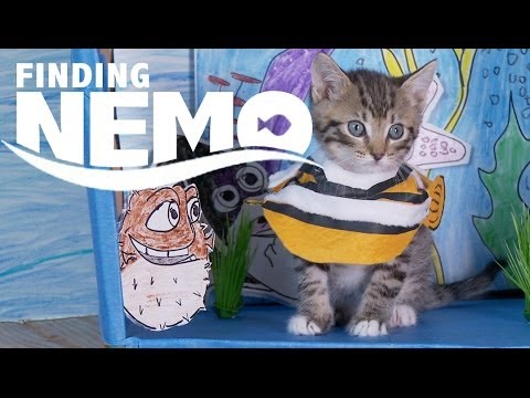 Disney Nemo Porn - âž¤ Finding Nemo Porn â¤ï¸ Video.Kingxxx.Pro