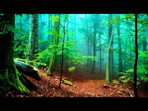 Mark Leanings vs Space Rockerz - Whatever Happened to Puzzle Piece