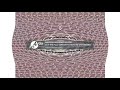 Pingu Outro With Effects 6 Major 84