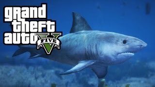 GTA 5 - Play as a Shark / Killer Whale / Dolphin! How To! (Peyote Location in GTA 5 PS4 Xbox One)