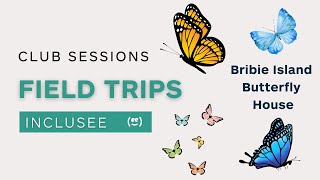 Virtual Field Trip - Bribie Island Butterfly House
