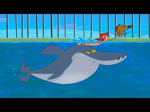 ᴴᴰ Zig and Sharko & NEW SEASON 2 & Best Compilation HOT 2017 About 1 Hour Full Episode in HD #19