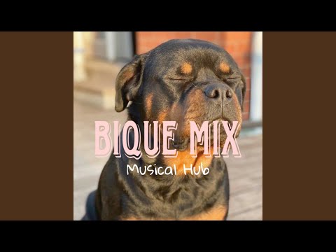 Slappy7 Nie Maan (Bique Mix)