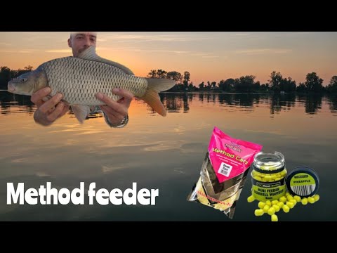 Pecanje Šarana na Savi/udarci na method feeder