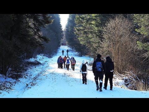 Wejście na Lackowa z 32 osobową Gorlicką Grupą Górską z Izb przez Bieliczna Beskid Niski