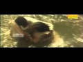 Malayalam Movie Song Jagadaanandha Kudumbasammetham Malayalam Film Song