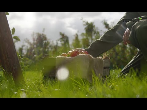 TVC - Servero