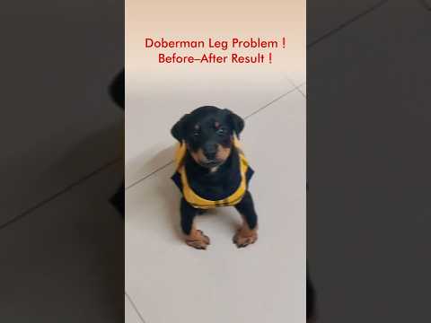 Rapid Recovery Case