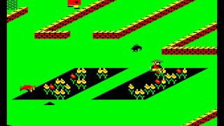 ACORN ELECTRON - PEDRO - IMAGINE 1983