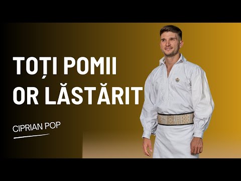 Ciprian Pop - Toți pomii or lăstărit