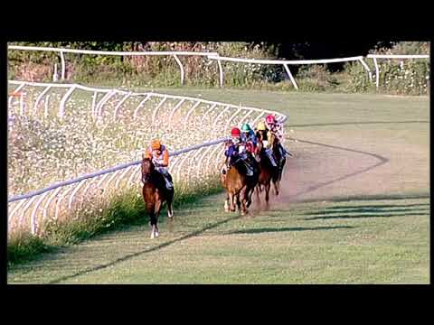 Galoppo 18/07/2020 - 4ª corsa