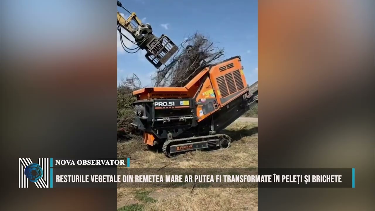Resturile vegetale din Remetea Mare ar putea fi transformate în peleți și brichete