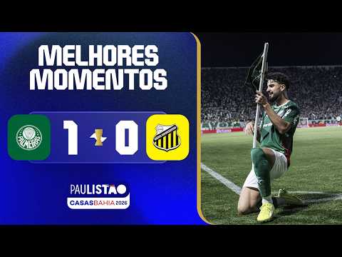 Gols e lances de Palmeiras x Novorizontino
