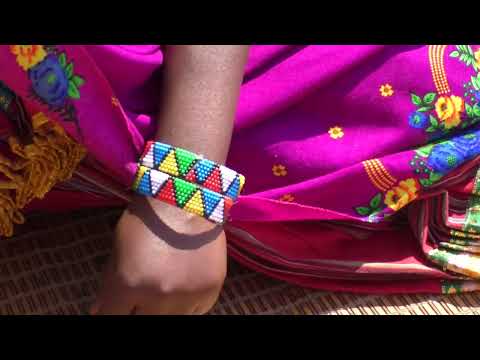 Heritage Day Student PSAs video-thumbnail