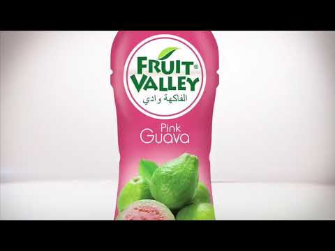 Fruit Valley Mix Fruit Drink