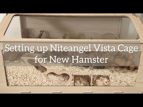 Ep.1 Niteangel Vista Cage - Setting Up an Enclosure for New Hamster