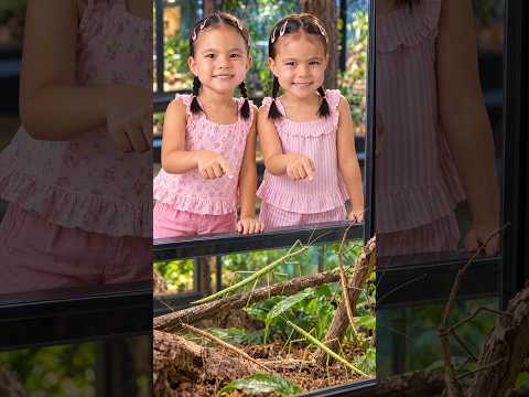 Wait... Those Sticks Are Moving! | Stick Insects for Kids