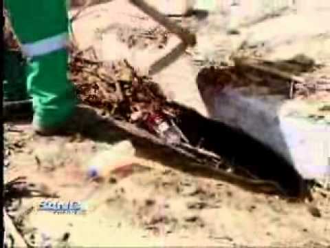 Band Cidade Campinas 16 01 2015 (BLOCO 2 pt.2)