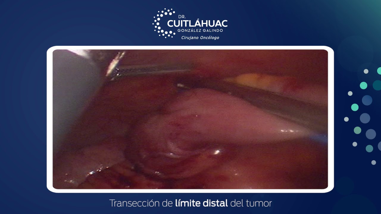 Cuitlahuac González Galindo-10